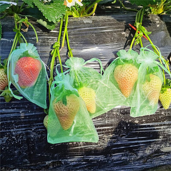 100 БР. Чанти за защита на плодове Градина, грозде, мрежеста чанта, селскостопанска овощна градина, мрежа против птици, покритие, торбички за отглеждане на зеленчуци, ягоди