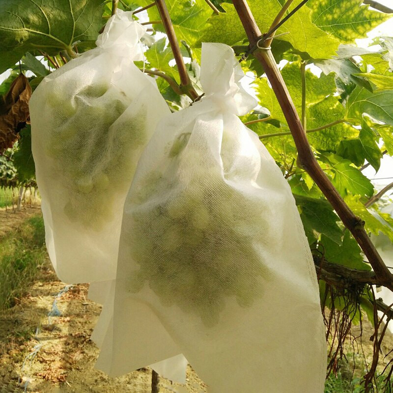 Saci de struguri 20/50/100 buc. Saci de protecție nețesute pentru fructe, saci anti-păsări pentru legume, fructe, sac de plasă pentru controlul dăunătorilor, saci de creștere pentru agricultură