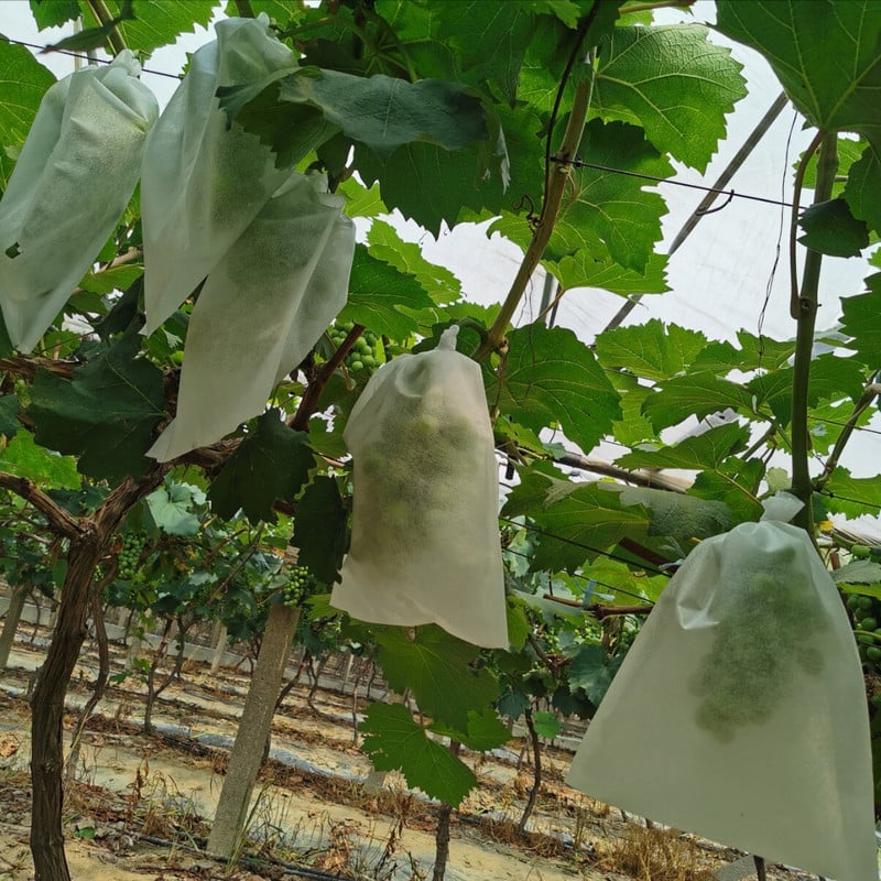 Saci de struguri 20/50/100 buc. Saci de protecție nețesute pentru fructe, saci anti-păsări pentru legume, fructe, sac de plasă pentru controlul dăunătorilor, saci de creștere pentru agricultură