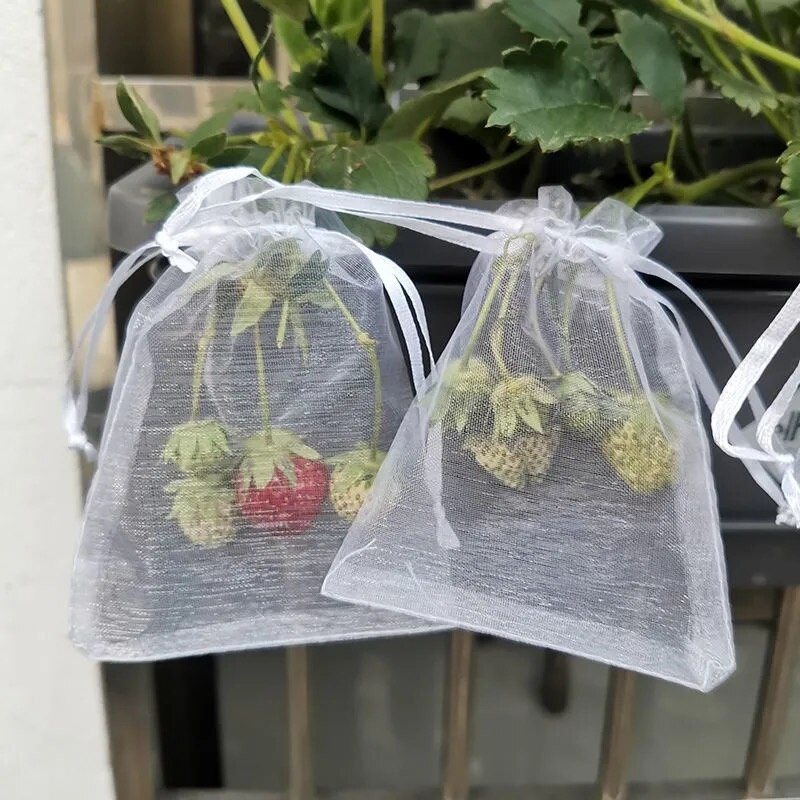 20 buc saci de plasă de protecție pentru struguri, saci de plasă pentru legume, fructe de grădină, saci de struguri pentru controlul dăunătorilor agricoli