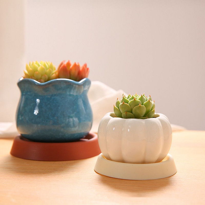 5 bucăți durabil pentru grădinărit, rotund, suport pentru bonsai din plastic