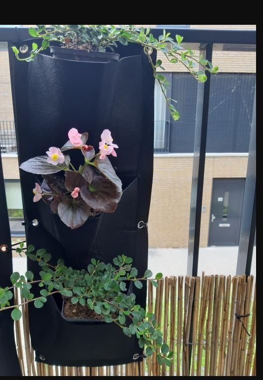 Kišeniniai pakabinami sodinimo krepšiai Sodo gėlės Auginkite vazonines daržoves Namų sodo įrankis