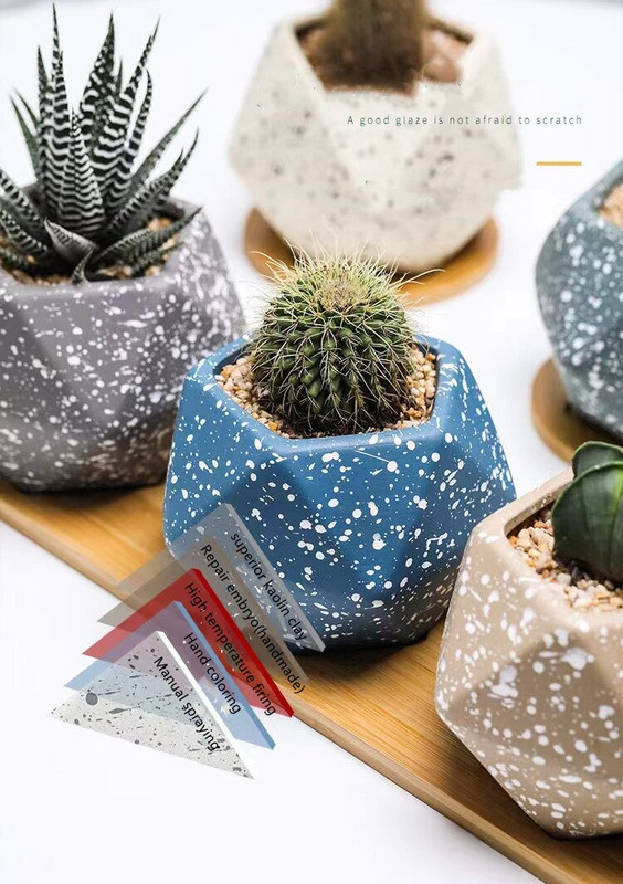 Degraduojantis sultingas augalas kaolinas vazonas biuro stalo ornamentas keraminis penkiakampis macaroon dėmių vėdinama vaza