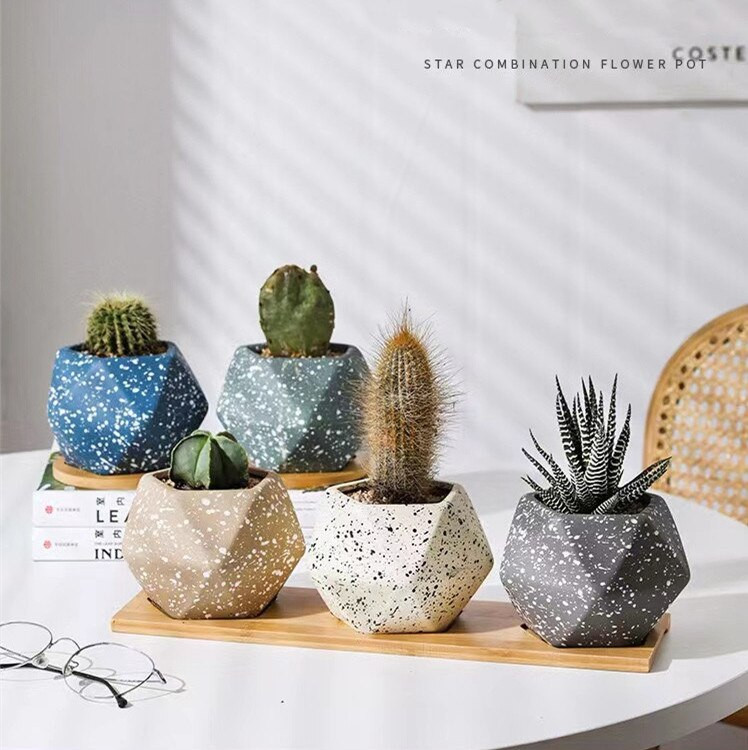 Degraduojantis sultingas augalas kaolinas vazonas biuro stalo ornamentas keraminis penkiakampis macaroon dėmių vėdinama vaza