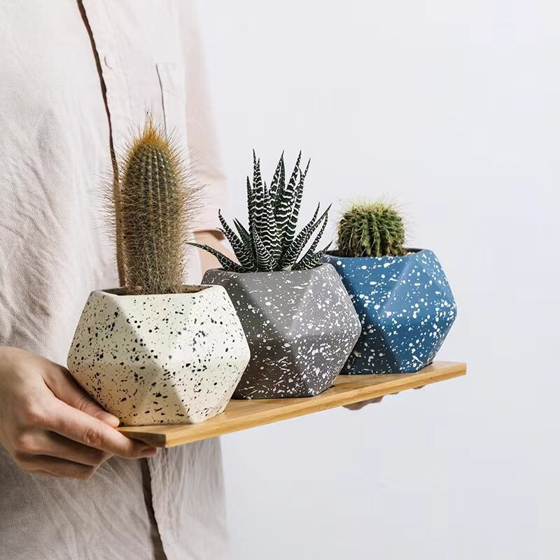 Degraduojantis sultingas augalas kaolinas vazonas biuro stalo ornamentas keraminis penkiakampis macaroon dėmių vėdinama vaza