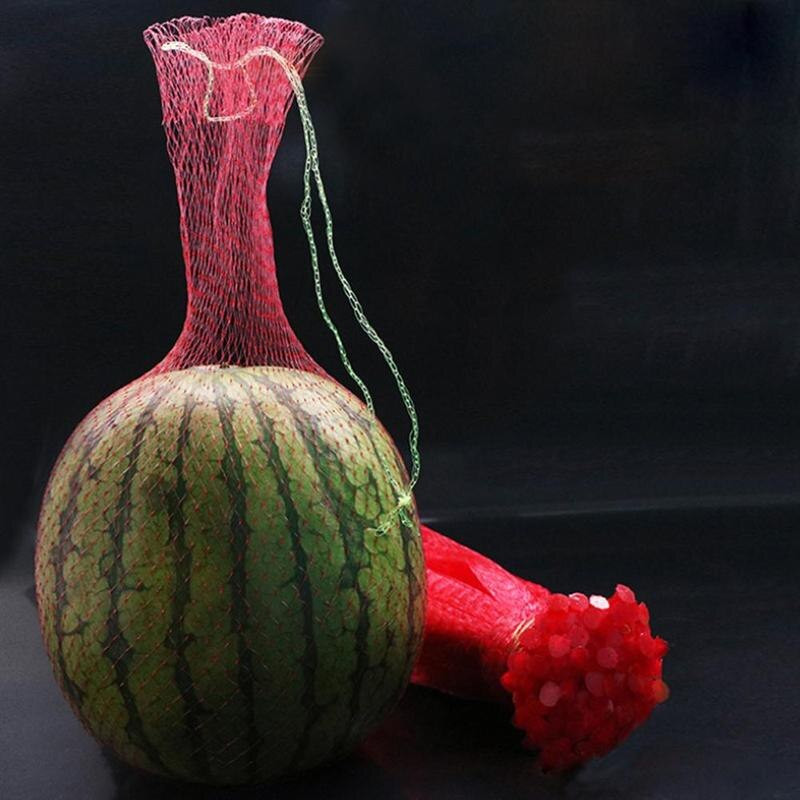 100 buc. Pungă de protecție pentru pepene verde pentru creșterea pepenilor verde