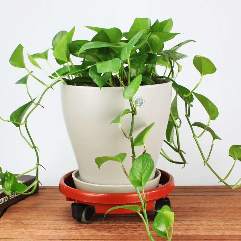 Nuimamas augalų stovas gėlių vazono padėklas su universaliu ratu, sunkiasvorio riedėjimo vazoninis stovas vidaus lauko balkono sodo įrankis