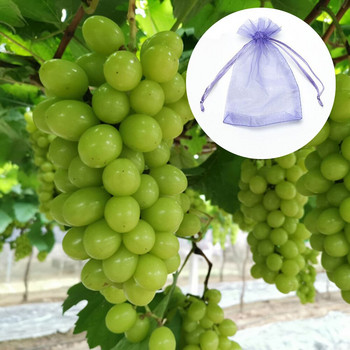 50-100 τμχ Grape Bags Garden Grow Bag for Plant Pots Τσάντα με δίχτυα κατά των πουλιών Προστασία λαχανικών φρούτων Διχτυωτή τσάντα Αξεσουάρ κήπου