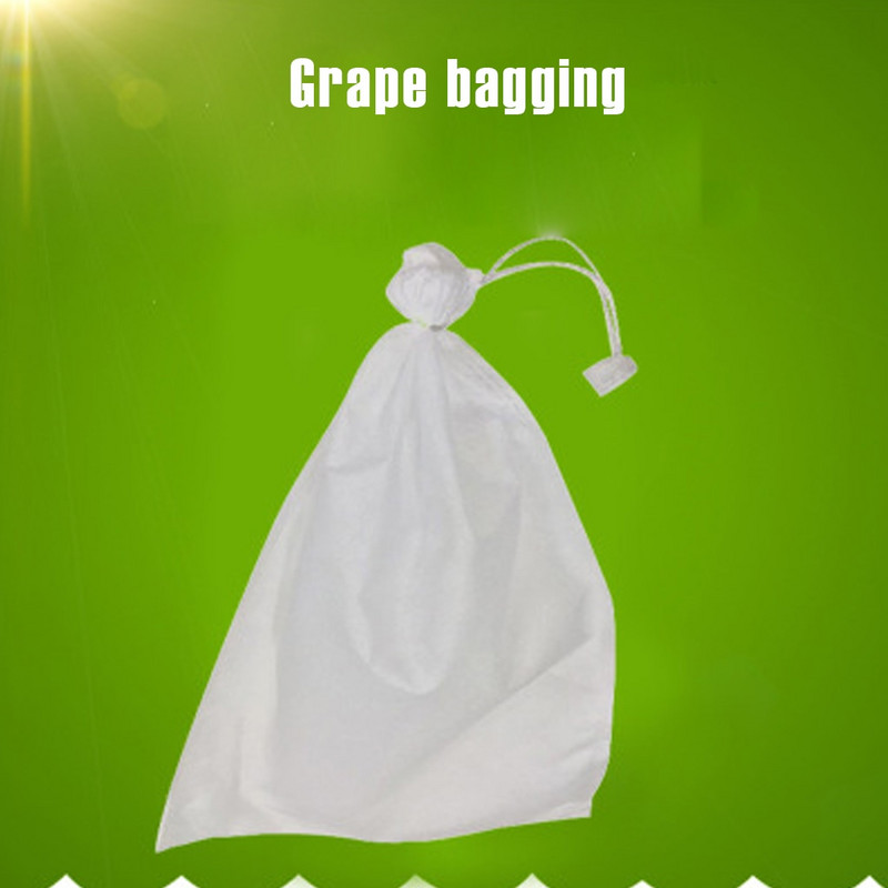 100 vnt./partija Vaisių ir daržovių apsauginis maišelis Vynuogių tinklinis maišelis nuo vabzdžių maišelis Vandeniui atsparus kenkėjų kontrolės įrankis nuo paukščių