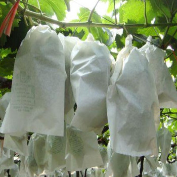 50PCS Fruit Grow Bags Anti Bird Drawstring Grape Protection Bag Pest Control Control Prevent Plant Grow Bags градински инструменти