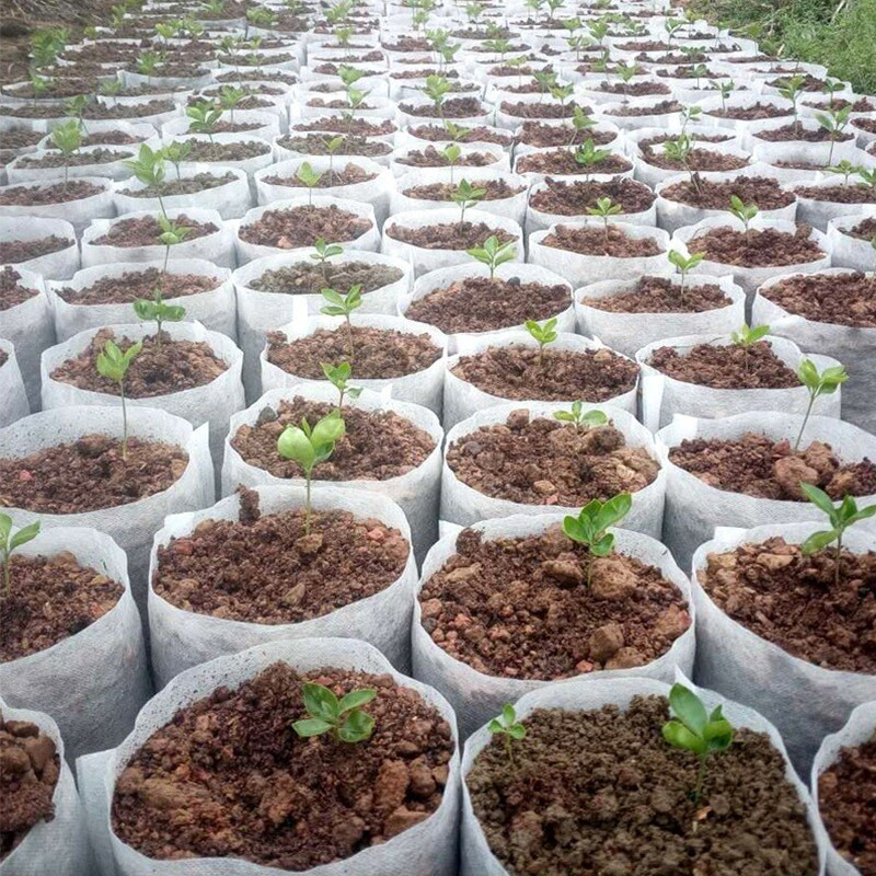 Biologiškai skaidus neaustinis audinys medelyno augalų auginimo maišeliai sodinukų auginimo vazonai Sodo vazonai Ekologiškas vėdinimo maišelis