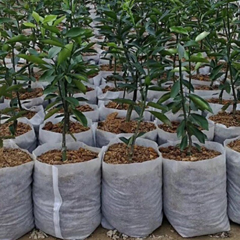 Biologiškai skaidus neaustinis audinys medelyno augalų auginimo maišeliai sodinukų auginimo vazonai Sodo vazonai Ekologiškas vėdinimo maišelis