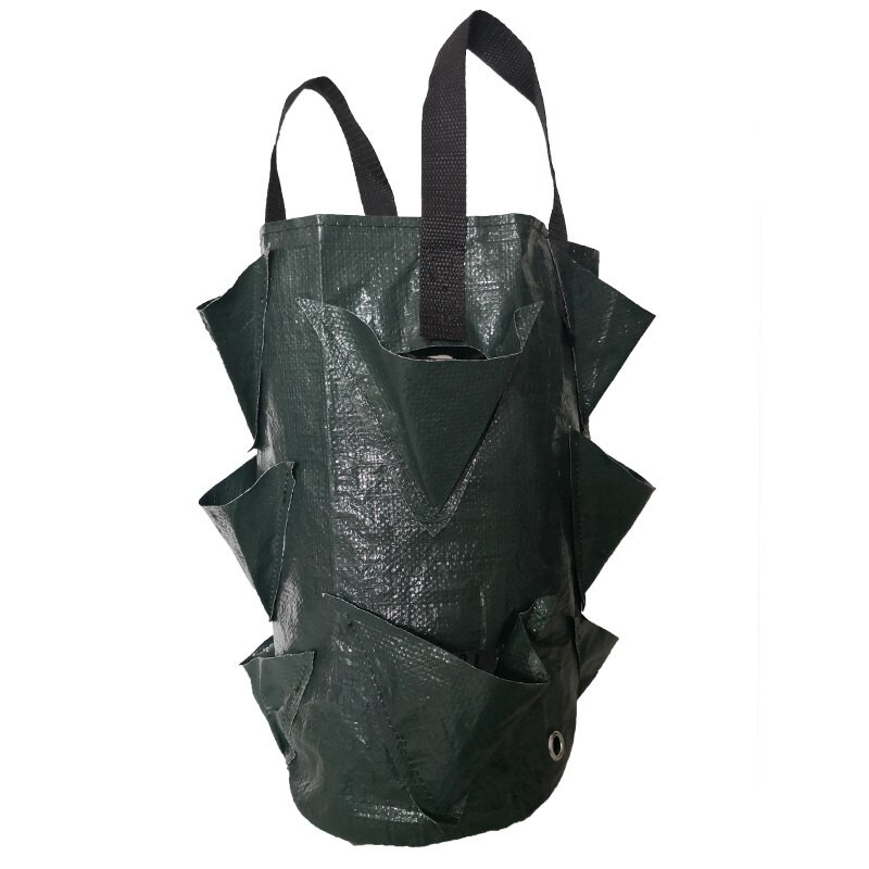 3 galona Vertikalni vrt PE tkanina Sadilica za jagode Vreća za uzgoj Alati za sadnju povrća Lonci Vrtlarstvo Zidni viseći cvijet