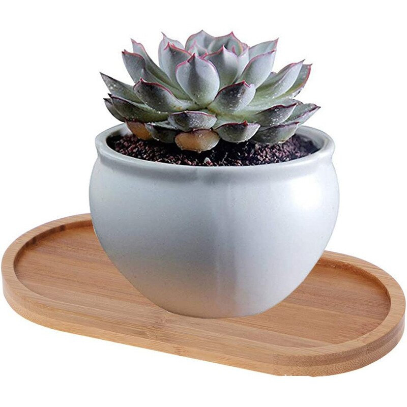 Farfurioara din lemn de bambus de forma ovala Tava pentru plante Mini ghiveci pentru plante Stand Tava pentru ghiveci suculente Design simplu și elegant Decor pentru casa