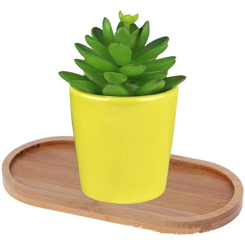 Farfurioara din lemn de bambus de forma ovala Tava pentru plante Mini ghiveci pentru plante Stand Tava pentru ghiveci suculente Design simplu și elegant Decor pentru casa