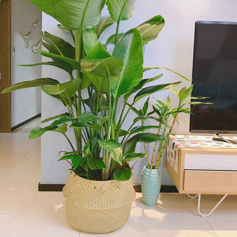 Fonott ültetőgép Tárolókosár Virágkosarak Mosodai tárolás Dekoratív kosár Cserepes rattan Virágültetők Háztartásszervező