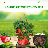 3 gallon eper ültető táska színes függő légi gyümölcs akasztó táska PE többszájú virágültető tasak Kertészeti palánta