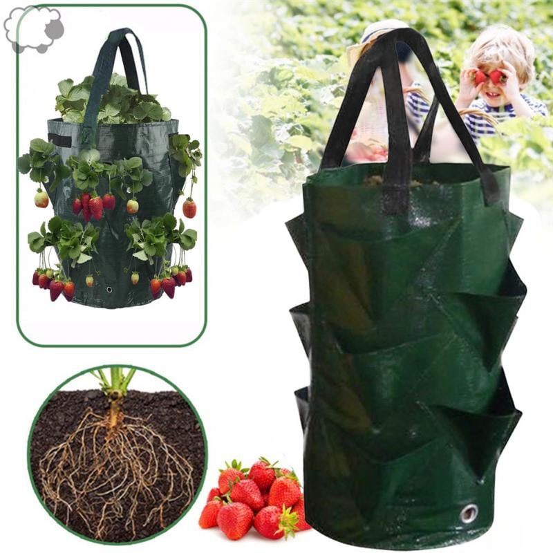 3 gallon eper ültető táska színes függő légi gyümölcs akasztó táska PE többszájú virágültető tasak Kertészeti palánta