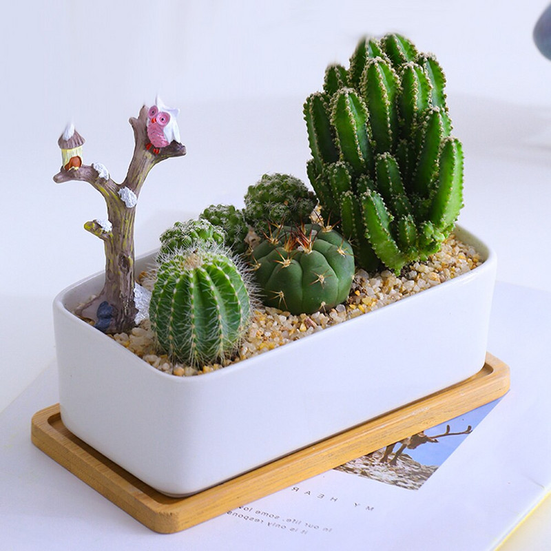 Tăvi dreptunghiulare din bambus natural, farfurioara pentru plante suculente, organizator de contor pentru baie, bucătărie, decorațiuni pentru produse cosmetice