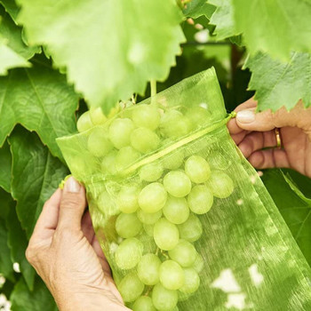 50/100 τμχ Σακούλα λαχανικών κήπου για φυτά φυτά προστασίας Τσάντες κηπουρικής κατά των πτηνών Δίχτυ κορδονιών καραμέλας σταφύλι μήλο δικτυωτό πουγκί