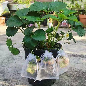 50/100 τμχ Σακούλα λαχανικών κήπου για φυτά φυτά προστασίας Τσάντες κηπουρικής κατά των πτηνών Δίχτυ κορδονιών καραμέλας σταφύλι μήλο δικτυωτό πουγκί