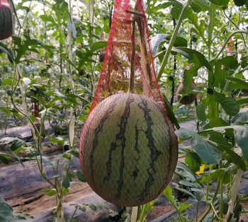 100 τμχ Κρεμαστά τσάντες με δίχτυ καλλιέργειας καρπουζιού Επαναχρησιμοποιούμενα πεπόνια με δίχτυ αγγούρια κήπου Σακούλες με δίχτυ αποθήκευσης καλλιέργειας για λαχανικά