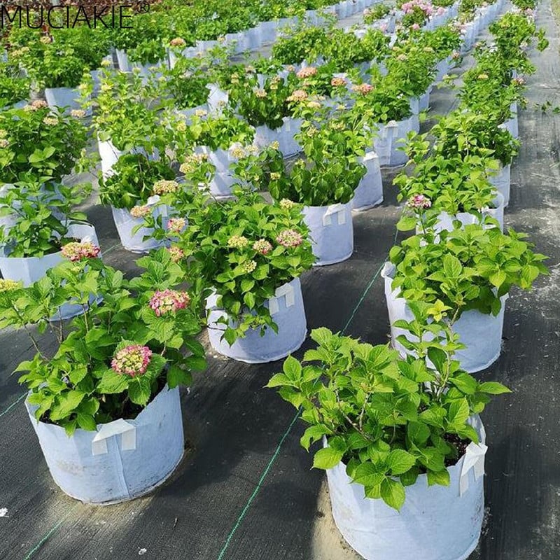 MUCIAKIE 24 dydžiai balti ekonomiški audiniai auginimo maišeliai Aeracija neaustinė vazono šaknų kontrolės augalų konteineris maišelis Namų sodo sodinimas