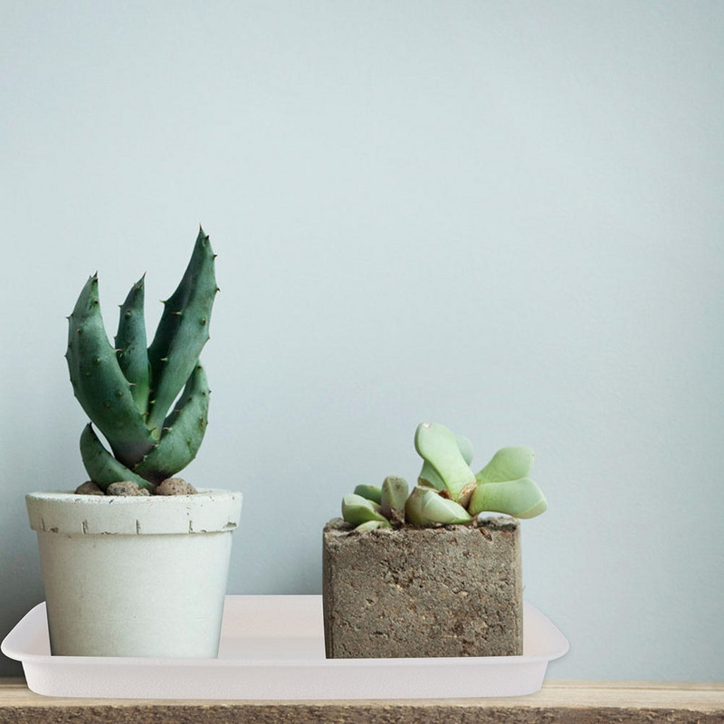 Vazono padėklai Lėkštės Padėklai Gėlių lėkštės Vanduo Plastikiniai Sodinamosios Stačiakampės Augalai Lėkštės Vazonai Vazonai Drenažo dėžės Pagrindas Sodas