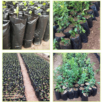 100Pcs Πυκνωμένη πλαστική σακούλα φυτών με αναπνέουσες οπές Μαύρες τσάντες φυτωρίου Τσάντες ανάπτυξης φυτών για φυτά Φρούτα λουλούδι