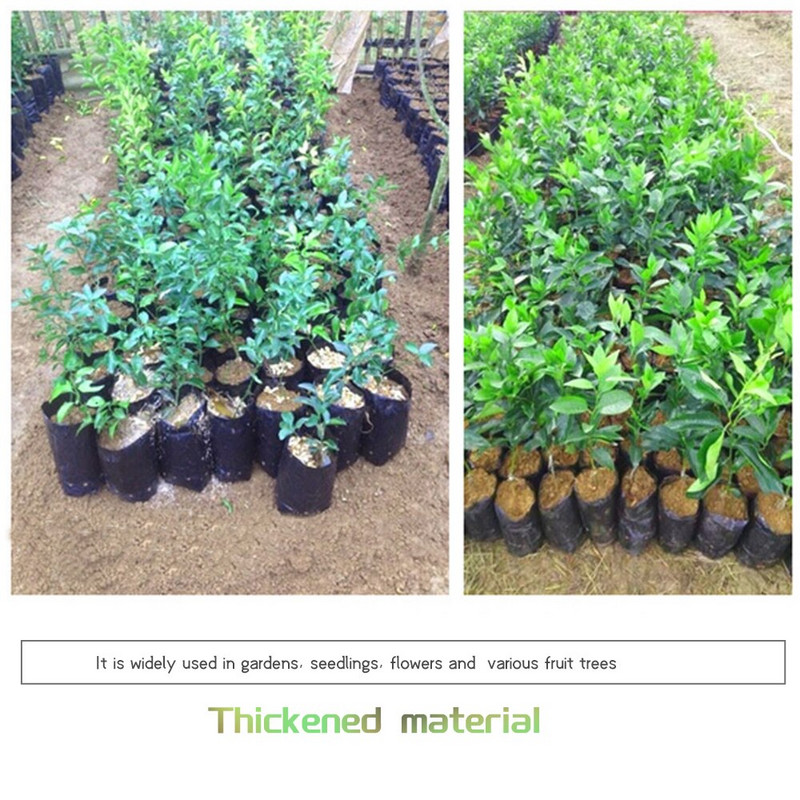 100 vnt. sutirštintas plastikinis augalų sodinukų maišelis su kvėpuojančiomis skylutėmis Juodi daigynų maišeliai Augalų auginimo maišeliai augalams Vaisių gėlė