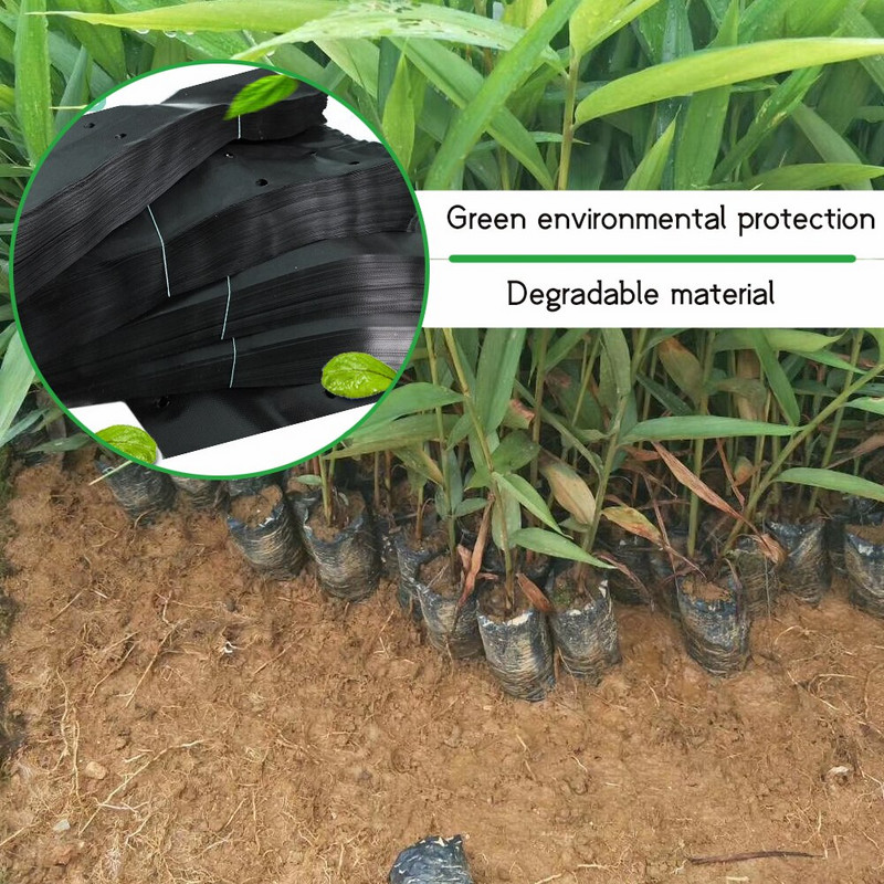 100 vnt. sutirštintas plastikinis augalų sodinukų maišelis su kvėpuojančiomis skylutėmis Juodi daigynų maišeliai Augalų auginimo maišeliai augalams Vaisių gėlė