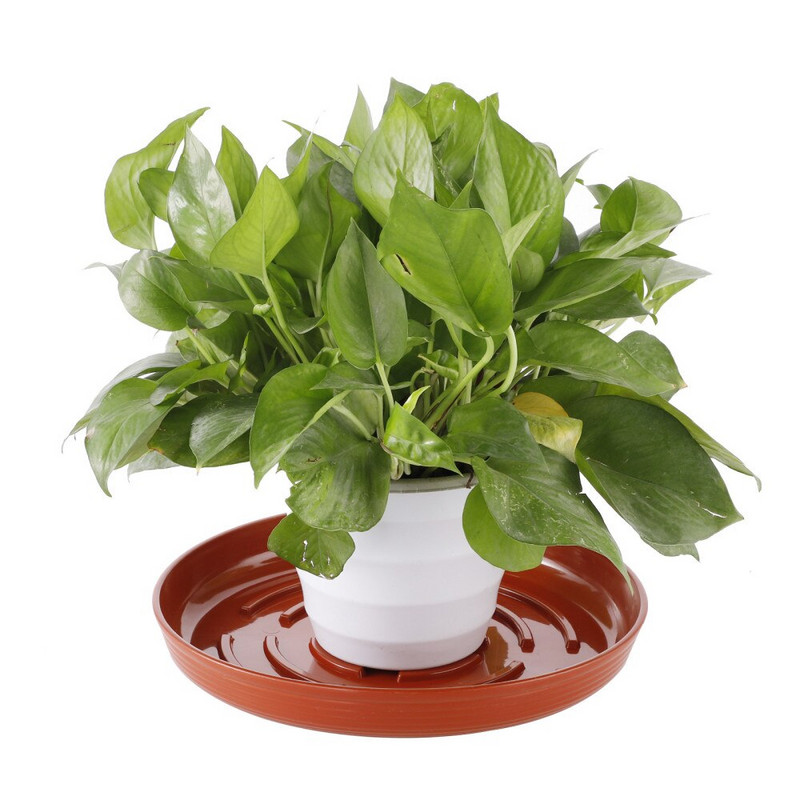 Пластмасови възглавнички, чинийки за растения, 6 бр. Тава, плантатор, палет, проста висококачествена червена кръгла поставка за вътрешни и външни саксии