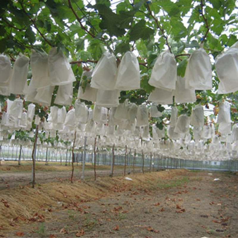 100 de bucăți saci de protecție împotriva dăunătorilor de grădina, anti-păsări, pentru fructe, legume, struguri, pungă din plasă împotriva insectelor.