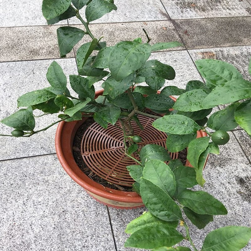 Augalų vazonų tinklelis Gėlių vazonų dangtis Augalai Vazonų dirvožemio dangčiai Apsauginis skydas kačių kūdikių saugai Apsaugokite vaikus Gyvūnai