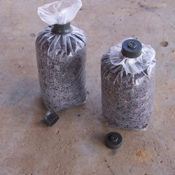 Mushroom Spawn Grow Bag Субстрат Висока температура Предварително запечатващи се градински консумативи Отглеждане на засаждане PVC торби Инструмент