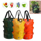 Braškių sodinimo maišeliai Daugkartiniai pomidorų daržovių gėlių auginimo maišeliai 3 galonų sodo maišeliai Daugkartinis sodo vazonas sodinimui