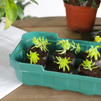 10 Grid Plant Flower Succulent Seeds Grow Box με καπάκι Θερμοκήπια Σπορόφυτα Δίσκος εκκίνησης Πλαστικό Γλάστρα φυτωρίου σπόρων