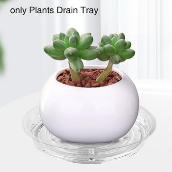 Διαφανές σετ 10 Convenient Promote Growth Plant Pot Saucer Ελαφρύ πιατάκι φυτών ανακυκλώσιμο για θερμοκήπιο