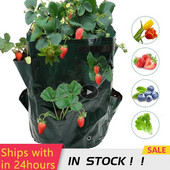 Új 3 gallonos kerti ültető táska többszájú eperfűnövény-ültető edények kerti tartály fogantyús kellékekkel