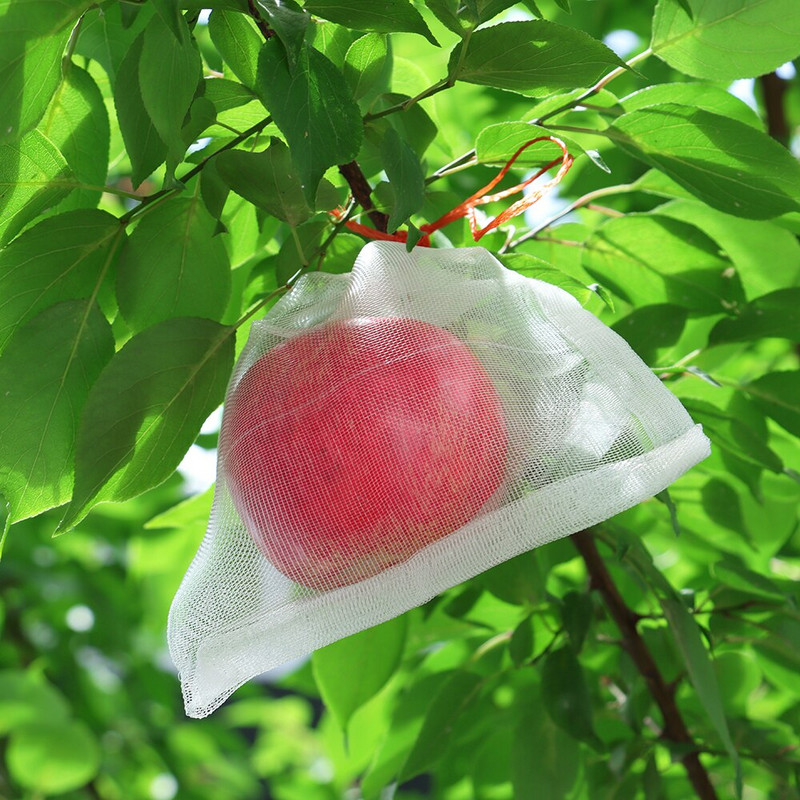 10 vnt. nailono raištelių tinklinis maišelis augalų augimo apsaugos maišelis sodo daržovių vaisių tinklelio maišelis kenkėjų kontrolės tinklelis nuo paukščių