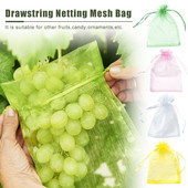 Grădină Struguri Fructe Saci de protecție Livadă Control dăunători Saci de plasă anti-păsări Saci de căpșuni Saci de creștere a plantelor 20/50/100 buc