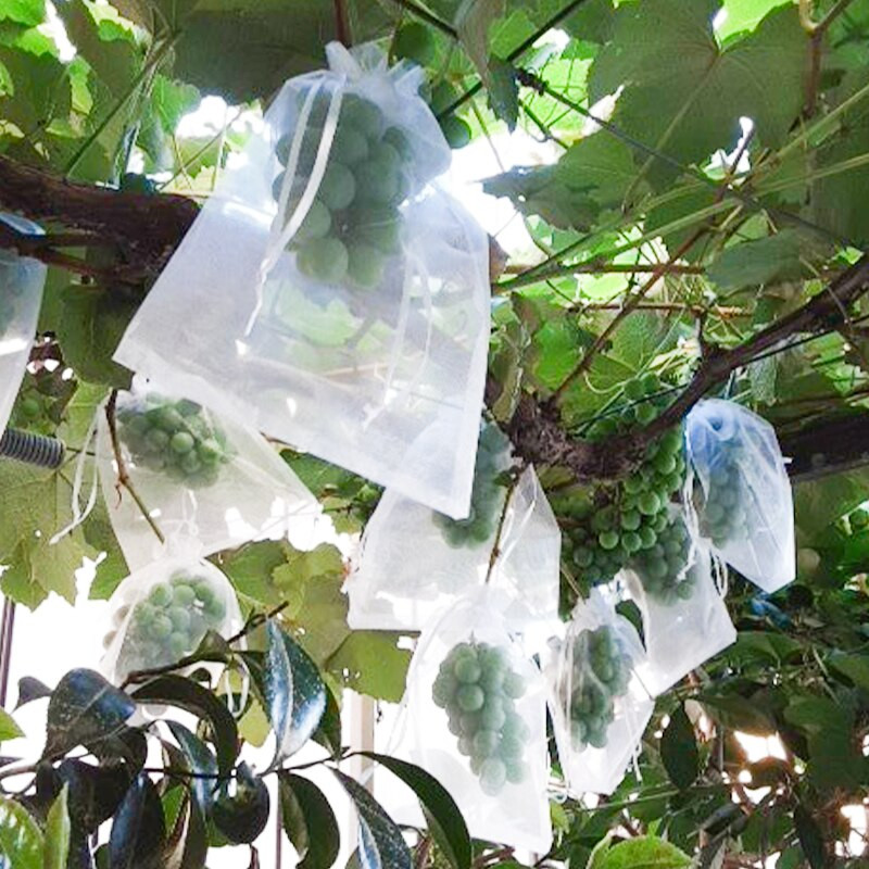 Grădină Struguri Fructe Saci de protecție Livadă Control dăunători Saci de plasă anti-păsări Saci de căpșuni Saci de creștere a plantelor 20/50/100 buc