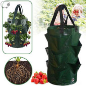 3 gallon eper ültető táska PE10 szájú virágültető tasak színes függő gyümölcs cserep Kertészeti palánta akasztós táska