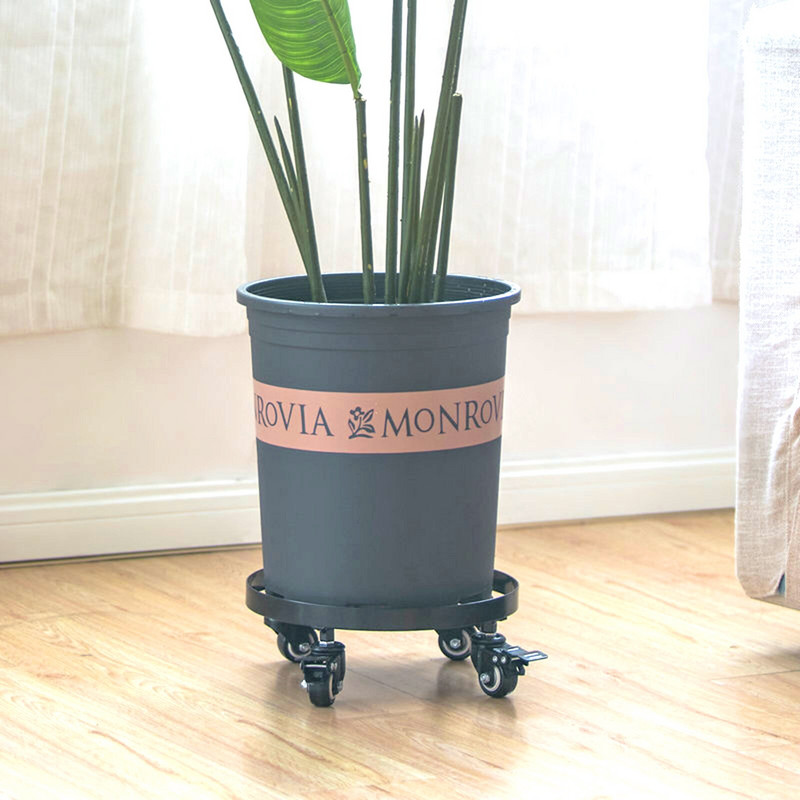 Fém Plant Caddy Iron cserepes növényállvány kerekekkel, kerek virágtartó állvány