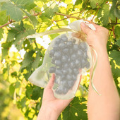 20/50 TK Viinamarjad Puuviljade kaitsekotid Aiavõrkkotid Põllumajandusliku viljapuuaia kahjuritõrje Linnuvõrkudevastased köögiviljakotid