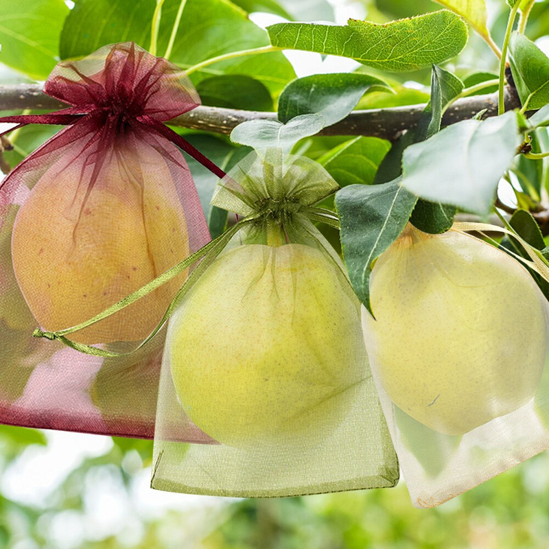 20/50 TK Viinamarjad Puuviljade kaitsekotid Aiavõrkkotid Põllumajandusliku viljapuuaia kahjuritõrje Linnuvõrkudevastased köögiviljakotid