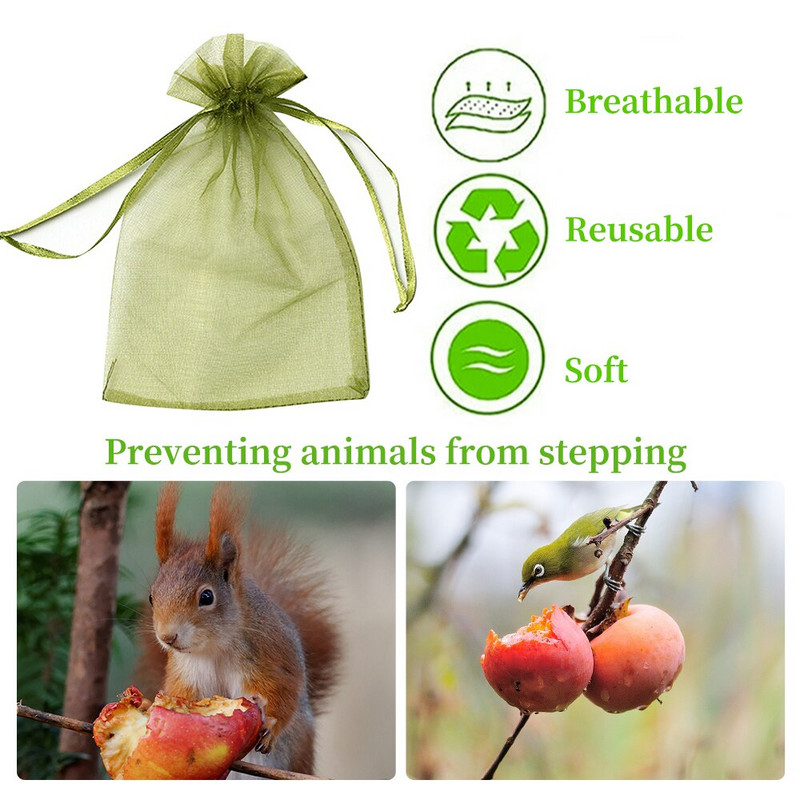 20/50 TK Viinamarjad Puuviljade kaitsekotid Aiavõrkkotid Põllumajandusliku viljapuuaia kahjuritõrje Linnuvõrkudevastased köögiviljakotid