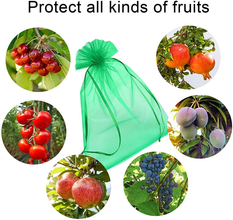 100 buc saci de protecție pentru struguri, fructe de căpșuni, saci pentru controlul dăunătorilor de grădină, cu plasă de lichi, saci de plantare, saci de creștere