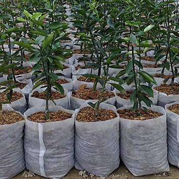 100 τμχ Growing Planter Pots Indoor Non-woven Grow Bags Υφασμάτινες σακούλες σποράς Βιοδιασπώμενες τσάντες φυτωρίου Τσάντα εξαερισμού κήπου