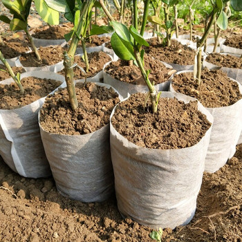 100 τμχ Διαφορετικά μεγέθη Βιοαποικοδομήσιμες μη υφασμένες γλάστρες σπορόφυτων Φιλικές προς το περιβάλλον Τσάντες φύτευσης Τσάντες φυτωρίου Τσάντες καλλιέργειας φυτών για κήπο